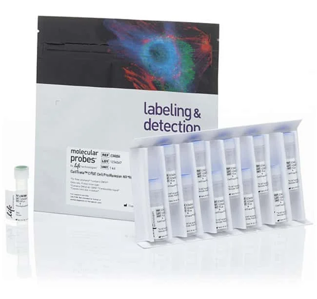 dyes for Cell Staining image
