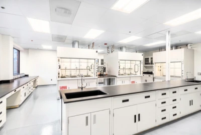 Molecular Lab Bench and Fume Hoods